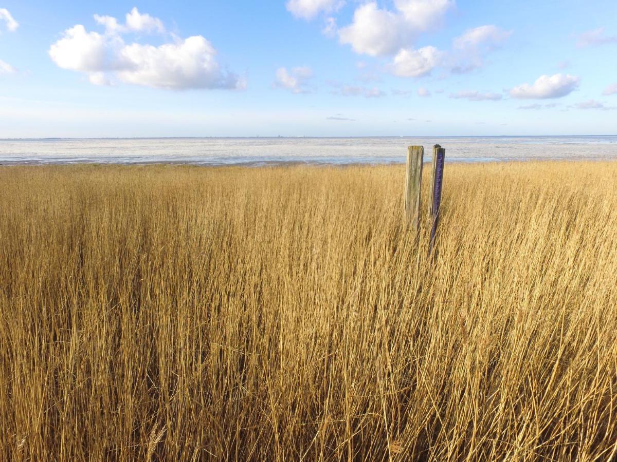 Charme Logies Wad Zout 't * Westerland